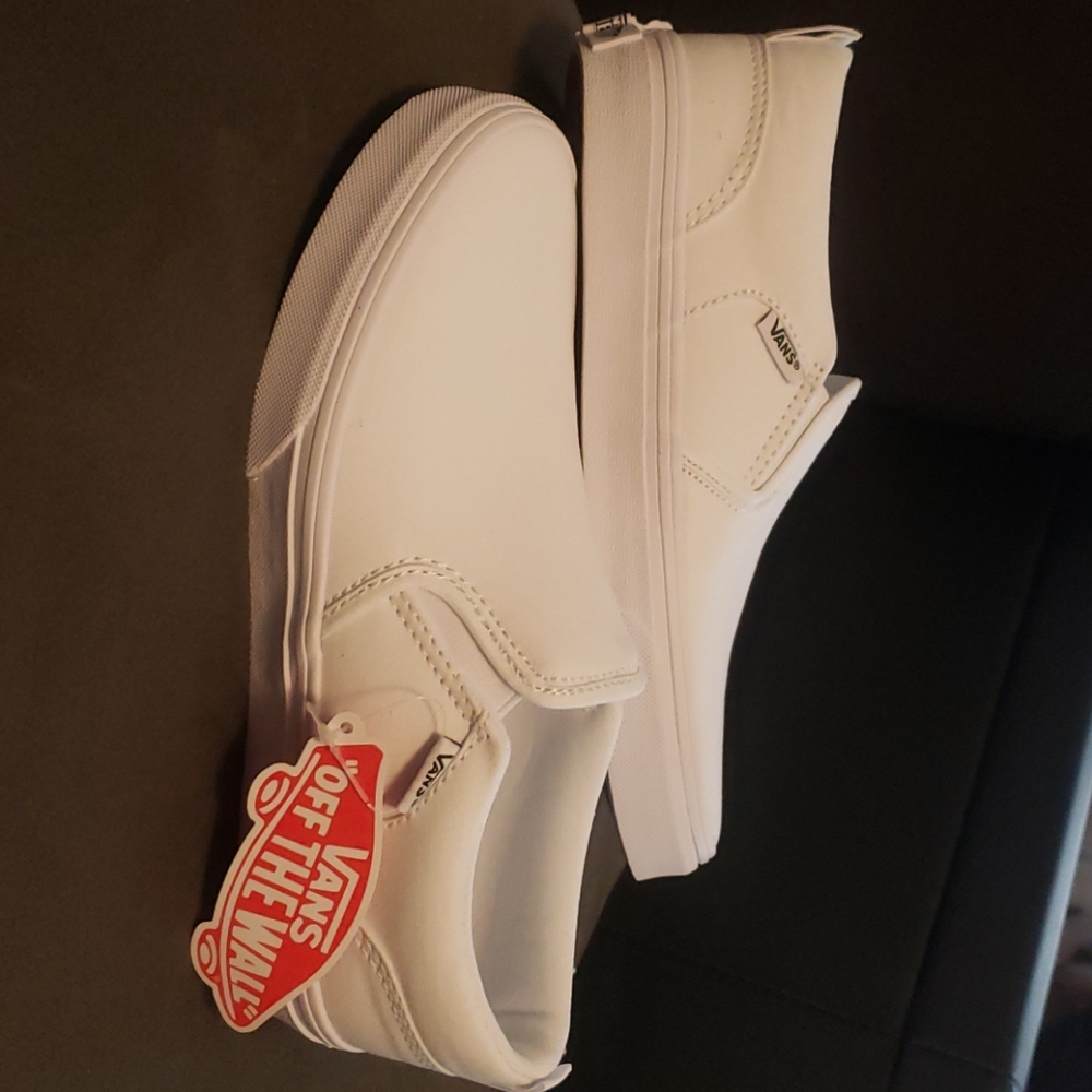 Vans Asher slip ons